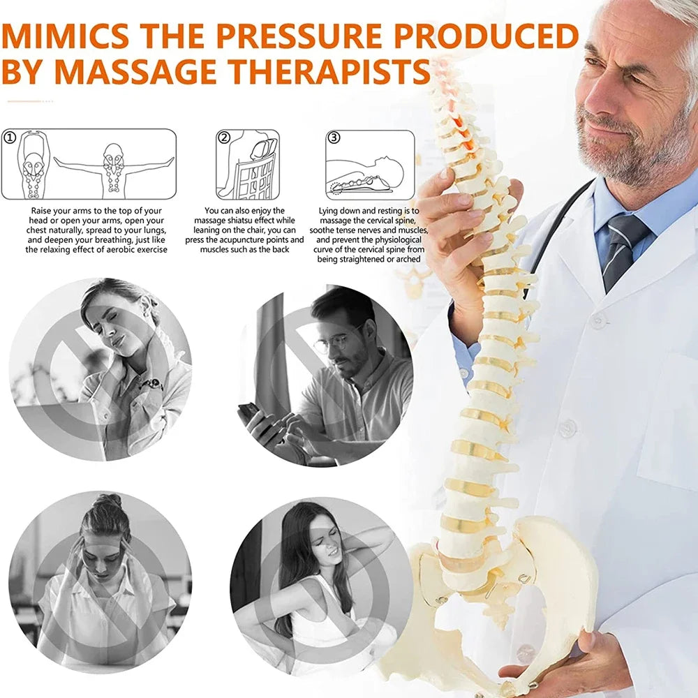 (NEW!) NECK & CERVICAL PAIN & POSTURE WIDGET